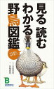 見る読むわかる野鳥図鑑[本/雑誌] (単行本・ムック) / 安西 英明 解説 箕輪 義隆 絵