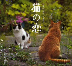 猫の恋 +猫句[本/雑誌] (単行本・ムック) / 岩合光昭 石寒太
