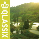 QLASSIX[CD] / FPM