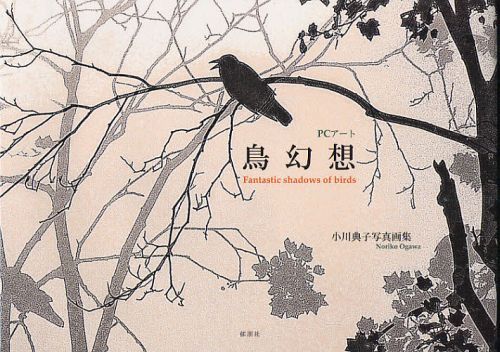 鳥幻想 PCアート 小川典子写真画集[本/雑誌] 単行本・ムック / 小川典子/著