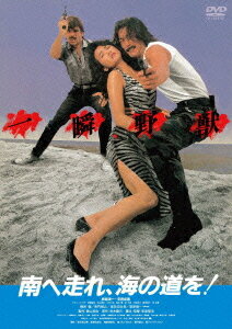 南へ走れ、海の道を![DVD] [廉価版] / 邦画