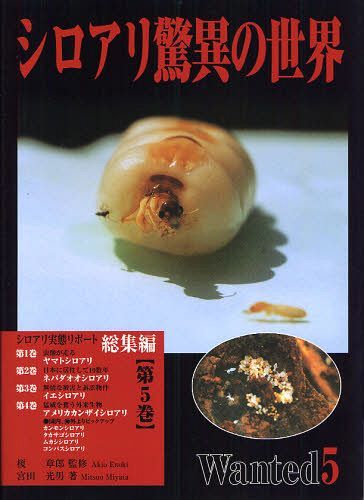 シロアリ驚異の世界 シロアリ実態リポート 第5巻[本/雑誌] (単行本・ムック) / 宮田光男/著