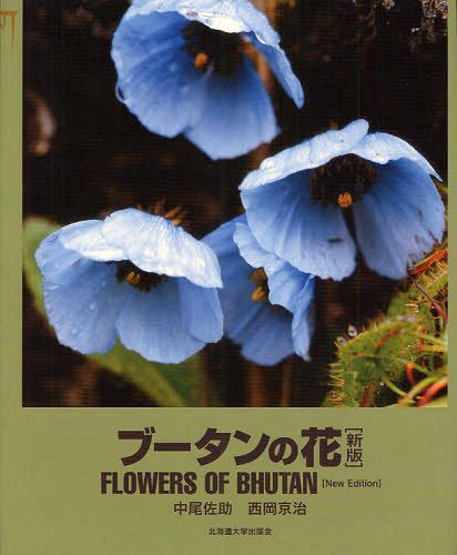 ͥ ŷԾŹ㤨֥֡β[/] (ñܡå / / /פβǤʤ4,950ߤˤʤޤ