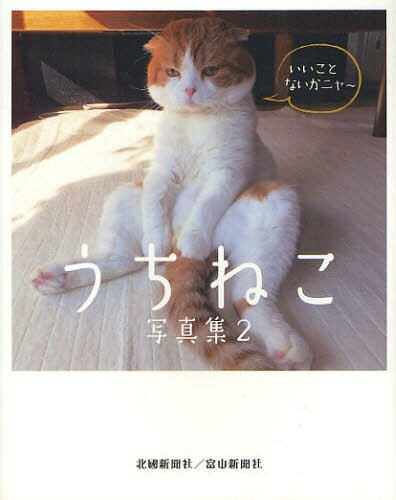 ご注文前に必ずご確認ください＜商品説明＞なぜか笑える、ずっと見つめていたくなる、そんなしぐさや表情がいっぱいです。石川&富山にゃんこの”いちおしショット”満載。＜収録内容＞思わずプププ 笑っちゃうニャー抱きしめたくなるその表情 かわいいニャーサルまねなんて言わないで 演技派だニャーずっとこのままでいたい 幸せだニャーインパクトなら負けません ドヤ顔だニャー金沢のねこいしかわ南のねこいしかわ北のねこ富山のねこ健康についてQ&A猫のいろいろQ&A石川・富山のねこ 名前人気ランキング＜商品詳細＞商品番号：NEOBK-1063667Kitaguni Shimbun Sha Shuppan Kyoku / Henshu / Uchi Neko Photobook 2メディア：本/雑誌重量：374g発売日：2011/12JAN：9784833018401うちねこ写真集 2[本/雑誌] (単行本・ムック) / 北國新聞社出版局/編集2011/12発売