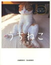 うちねこ写真集 2[本/雑誌] (単行本・ムック) / 北國新聞社出版局/編集