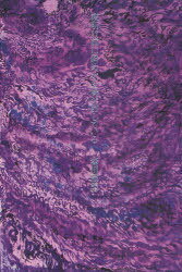 夜明け前に斜めから陽が射している[本/雑誌] (単行本・ムック) / 森川雅美/著