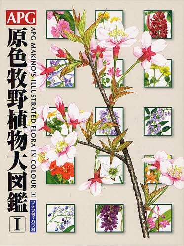 APG原色牧野植物大図鑑 1[本/雑誌] (単行本・ムック) / 〔牧野富太郎/著〕 邑田仁/編 米倉浩司/編のサムネイル