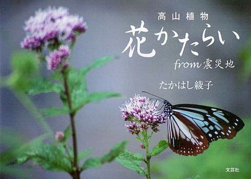 高山植物花かたらいfrom震災地[本/雑誌] (単行本・ムック) / たかはし綾子/著