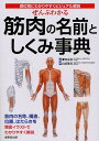 ぜんぶわかる筋肉の名前としくみ事典 部位別にわかりやすくビジュアル解説[本/雑誌] (単行本・ムック) / 肥田岳彦/監修 山田敬喜/監修