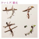 最近[CD] [通常盤] / ひいらぎ