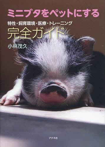 ミニブタをペットにする完全ガイド 特性・飼育環境・医療・トレーニング[本/雑誌] (単行本・ムック) / 小林茂久/著のサムネイル