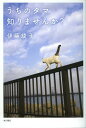 うちのタマ知りませんか? (単行本・ムック) / 伊藤綾子/著 - CD&DVD NEOWING