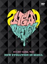 2012 2NE1 GLOBAL TOUR -NEW EVOLUTION IN SEOUL[DVD] / 2NE1