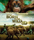 ご注文前に必ずご確認ください＜商品説明＞人間と動物の絆を3D映像で綴るIMAXフィルム製作によるドキュメンタリー。 親を失ったオランウータンと象を救うべく、東奔西走する動物学者たちと動物たちとの愛を、モーガン・フリーマンのナレーションで楽しめる。 3D版と2D版を収録。＜収録内容＞IMAX: Born To Be Wild 3D -野生に生きる-IMAX: Born To Be Wild 3D -野生に生きる-【3D版】＜アーティスト／キャスト＞モーガン・フリーマン＜商品詳細＞商品番号：WHV-1000368709Movie / IMAX: BORN TO BE WILD 3D [Blu-ray]メディア：Blu-ray収録時間：45分リージョン：Aカラー：カラー発売日：2013/02/06JAN：4988135976796IMAX: BORN TO BE WILD 3D -野生に生きる-[Blu-ray] (3DBD) [Blu-ray] / 洋画2013/02/06発売