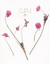 Kiyoharu CLIPS II (ミュージッククリップ集)[Blu-ray] [Blu-ray] / 清春