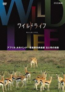 ワイルドライフ アフリカ大サバンナ 草食獣対肉食獣 生と死の攻防 / ドキュメンタリー