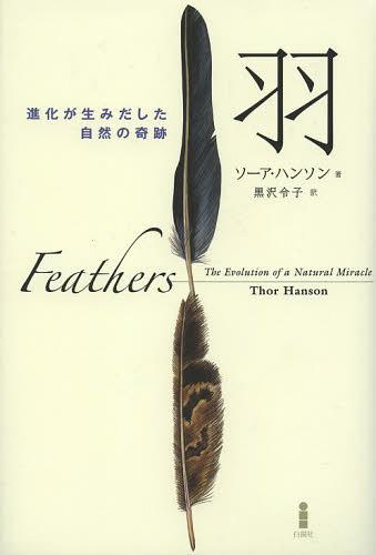  ʲߤδ / ȥ:Feathers[/] (ñܡå) / ϥ󥽥/ /
