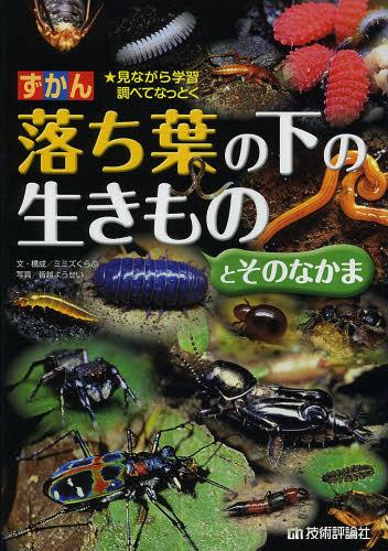 ずかん落ち葉の下の生きものとそのなかま 見ながら学習調べてなっとく[本/雑誌] (児童書) / ミミズくらぶ/文・構成 皆越ようせい/写真のサムネイル