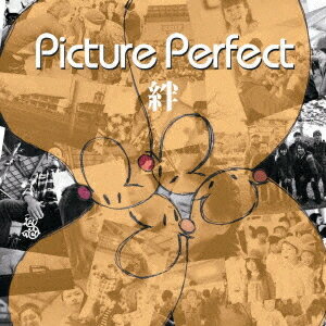 [CD] / Picture Perfect