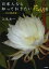 日本人なら知っておきたい花48選 花の履歴書[本/雑誌] (単行本・ムック) / 江尻光一/著