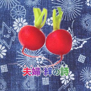 夫婦・絆の詩[CD] / オムニバス