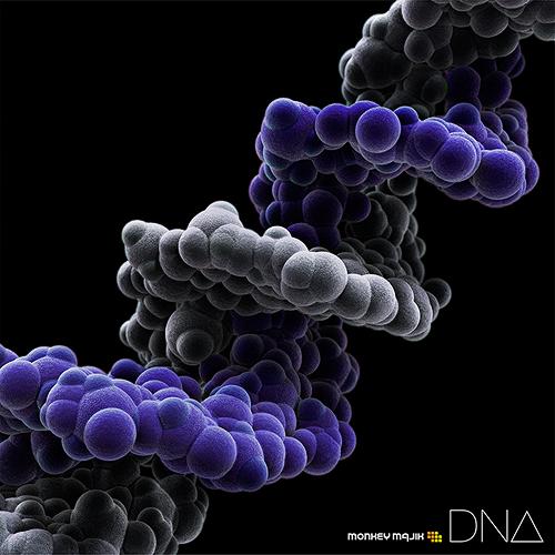 DNA[CD] [CD+Blu-ray] / MONKEY MAJIK