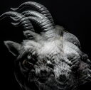 BEAUTIFUL DEFORMITY[CD] [通常盤] / the GazettE