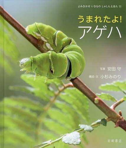 うまれたよ!アゲハ[本/雑誌] (よみきかせいきものしゃしんえほん) (児童書) / 安田守/写真 小杉みのり/構成・文のサムネイル