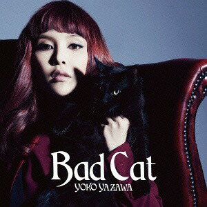 Bad Cat[CD] / λ