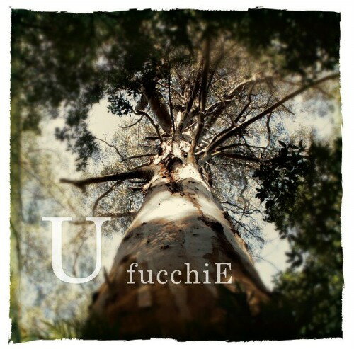 U[CD] / fucchiE