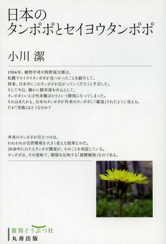 日本のタンポポとセイヨウタンポポ 復刻 (単行本・ムック) / 小川潔/著