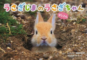 うさぎじまのうさぎちゃん[本/雑誌] (児童書) / 福田幸広/しゃしん ゆうきえつこ/ぶん