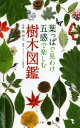 葉っぱで見わけ五感で楽しむ樹木図鑑[本/雑誌] / 林将之/監修 ネイチャー・プロ編集室/編著