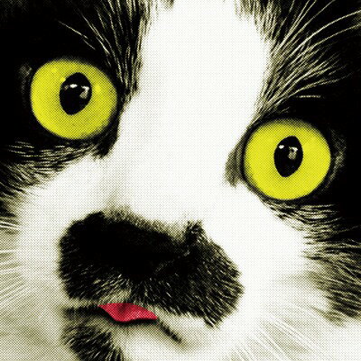 鰻[CD] / 中山うり