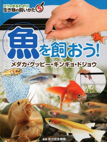 コツがまるわかり!生き物の飼いかた 5[本/雑誌] / 足立区生物園/監修のサムネイル