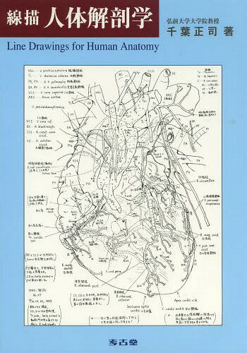 線描人体解剖学[本/雑誌] / 千葉正司/著