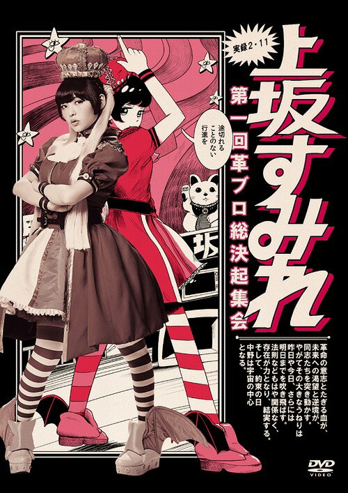 楽天ネオウィング 楽天市場店実録・2.11 第一回 革ブロ総決起集会[DVD] / 上坂すみれ