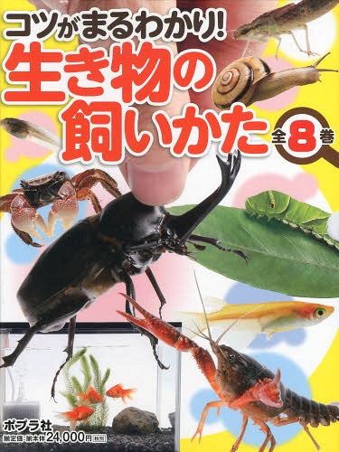 コツがまるわかり!生き物の飼いかた 8巻セット[本/雑誌] / 足立区生物園/ほか監修