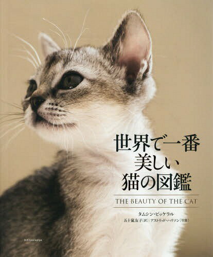 ǰǭο޴ / ȥ:THE BEAUTY OF THE CAT[/] / ॷ󡦥ԥå/ ޽ͧ/ ȥåɡ...