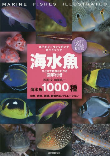 海水魚 ひと目で特徴がわかる図解付き 海水魚1000種+幼魚、成魚、雌雄、婚姻色のバリエーション[本/雑誌] (ネイチャーウォッチングガイ..