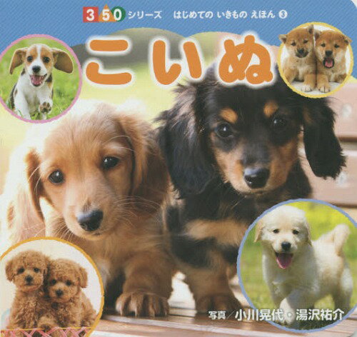 こいぬ[本/雑誌] (350シリーズ はじめてのいきものえほん 3) / 小川晃代/写真 湯沢祐介/写真のサムネイル