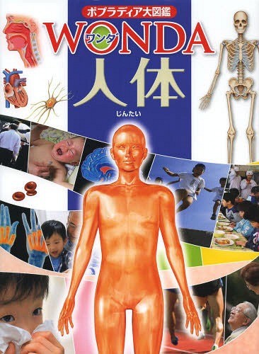 人体[本/雑誌] (ポプラディア大図鑑WONDA) / 坂井建雄/監修