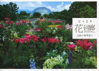 とっとり花回廊 山陰の四季彩々[本/雑誌] / とっとり花回廊/編