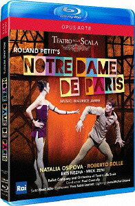 楽天市場】ノートルダム・ド・パリ ミュージカル dvdの通販 楽天市場】ノートルダム・ド・パリ ミュージカル dvdの通販