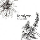 TEMIYAN 30-30[CD] / TEMIYAN