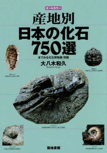産地別日本の化石750選 本でみる化石博物館・別館 オールカラー[本/雑誌] / 大八木和久/著