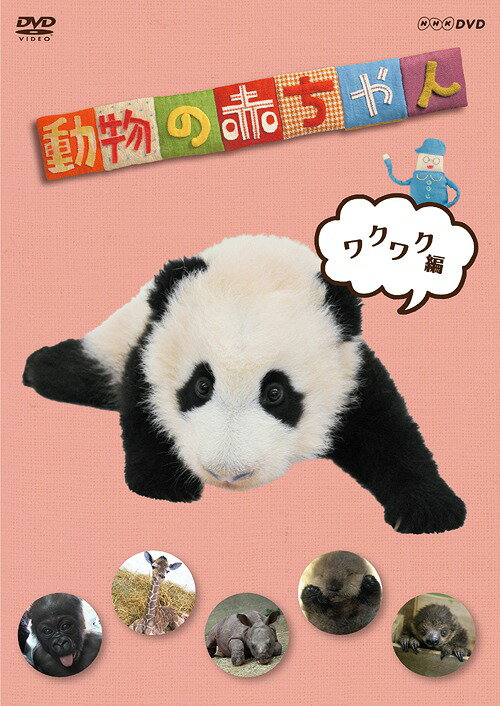 新品ケース交換済み 動物赤ちゃん大集合 DVD 全11巻セット