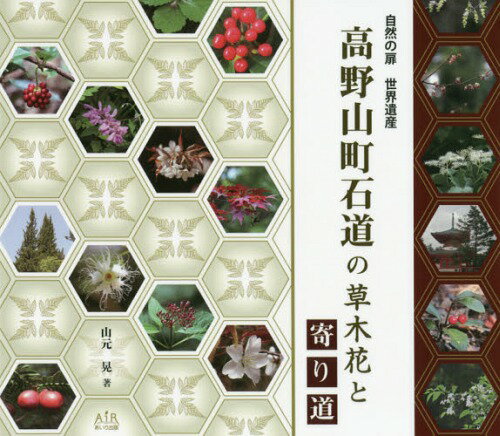 高野山町石道の草木花と寄り道 自然の扉世界遺産[本/雑誌] / 山元晃/著