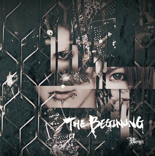 THE BEGINNING[CD] [通常盤 D
