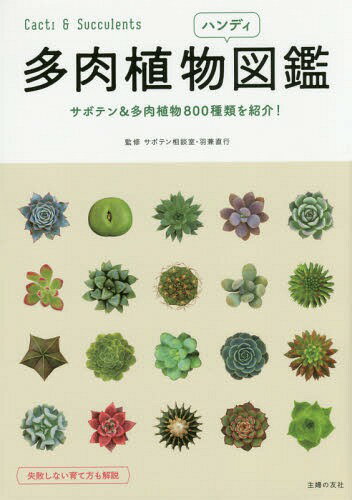 多肉植物ハンディ図鑑 サボテン 多肉植物800種類を紹介 本/雑誌 / 羽兼直行/監修